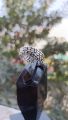 100 % Original Pure Chandi Turkish Ring (Challa) For Men. 
