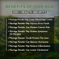 Moringa Leaf Powder Organic 150 Gram 100% Natural Moringa Powder Moringa Leaf Powder Organic 150 Gram 100% Natural Moringa Powder. 