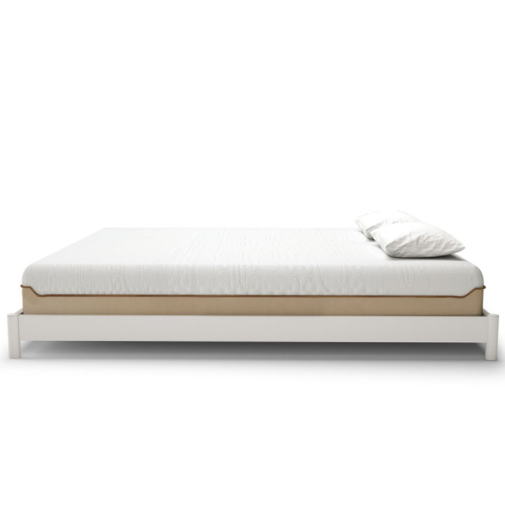 Molty%20Senior%20-%20Image%204