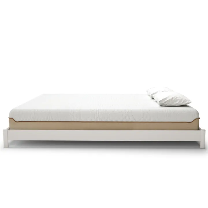 Molty%20Senior%20-%20Image%204