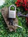Heavy duty padlock, door lock 40mm top security Lock & Keys Brass Cylinder | 40mm Round Blade Iron Padlock Vane Pad Lock. 