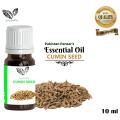 Cumin Seed Aromatherapy Essential Oil -10 ml – Pakistan Pansar Cumin Seed Aromatherapy Essential Oil 100% Pure & Natural – Undiluted. 