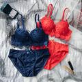 New Design Bra Set Unique Lace Style With painty Set For Women Padded or Removable Pad Wire Bra For Girls Net Style Underwear (skin, blue, red, black and Green color available We may send any color  size (30 to 38). 