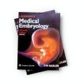 Langman Embryology Langman's Medical Embryology Thomas W. Sadler Normal paper. 