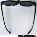 Imported I Catchers Glasses - Cat Eyes Wayfarer Shape Style Reflector Lenses Fashion Glasses Silver Lenses Black Frame. 