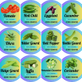 12 Summer Vegetables Seeds Pack | 1-10 Marla Area | Vegetables Seeds Pack | Tomato Seeds | Chili Seeds | Coriander Seeds| Okra Seeds | Bitter Gourd Seeds | Cucumber Seeds | Brinjal Seeds | Capsicum Seeds | Organic Seeds | Use Compost NPK Epsom Salt SOP |. 