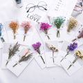 Dry Flower Greeting Card Handmade Wish Card Message Cards Love Card For Wedding Birthday Valentine's Day. 