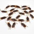 5-10Pcs Funny Scared Trick Joke Toys Special Lifelike Model Simulation Rubber Cockroach Scorpion Gecko Snake Roaches Toy. 
