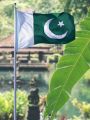 Pakistani Flag Pakistan independence day Flag. 