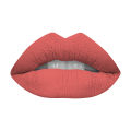 Swiss Miss Lipstick Pretty Pink (MATTE-263). 