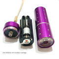 Aluminum LED UV Torch Flashlight for Pet Clothing currency check Food Fungus Detection / Night Fishing / Travel. 