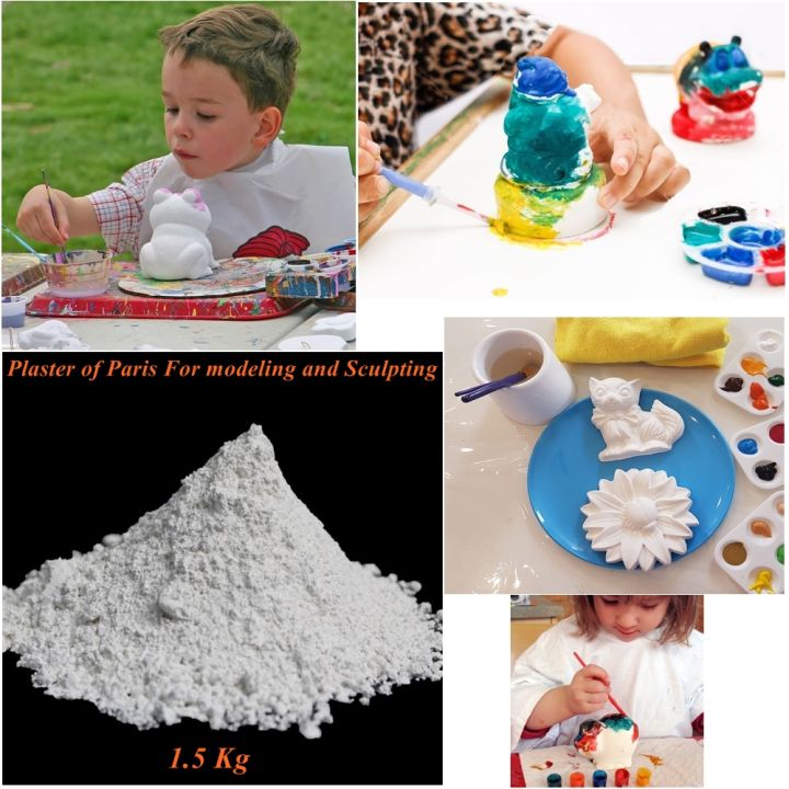 1.5 KG Plaster of Paris For Art Supplies Modeling and Sculpting