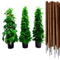 Plant Stick (4 Ft) Straightener For Climbing Indoor Plants / Money Plants Pack Of 1,2,3,4,5. 