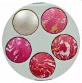 5 in 1 Professional Terracotta Blush On Palette Kit. 