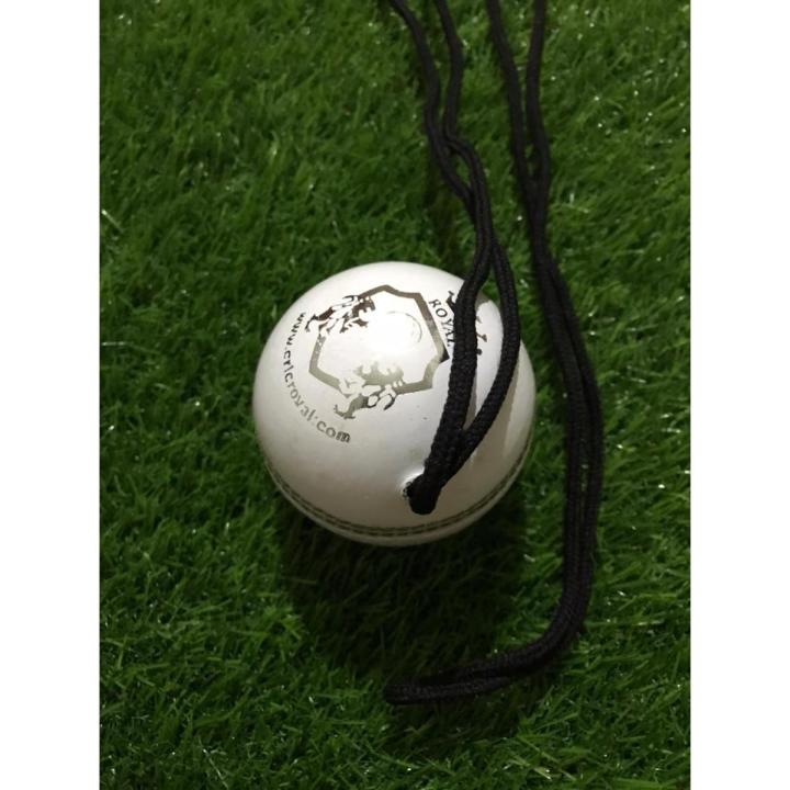 Cricket Hanging Hard Ball for Bat Stroke