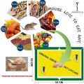 Pack Of 3 Rat killer glue mouse catcher Reusable Expert Catch Mouse Glue Traps Mouse Size Glue Traps Sticky Boards mouse catcher book Insect Lizard Spider Cockroach Rodent Snake Strongly mouse and rat glue trap. 