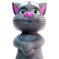 Talking tom cat for kids light and music. 