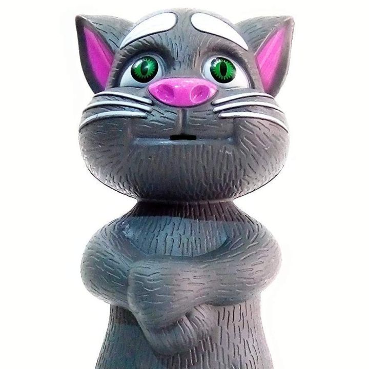 Talking tom cat for kids light and music
