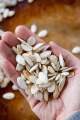 Pumpkin Seeds | White Pumpkin Seeds | Unshelled | 100 Gram. 