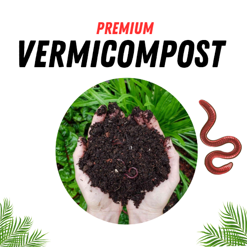 Premium organic vermicompost for lawn ,garden etc by Plantopia