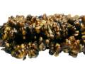 Kilaow, Hunza chocolate, Product of walnuts with almond seeds and dry mulberries cider 500 gram ,. 