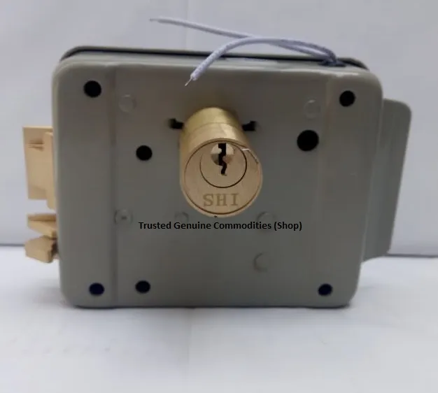 Electric%20Automatic%20Main%20Gate%20Lock%20Heavy%20Duty%20Main%20Gate%20Lock%20(5%20Keys)%20-%20Image%209