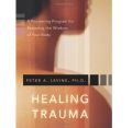 Healing Trauma - A Pioneering Program for Restoring the Wisdom of Your Body by Peter A. Levine. 
