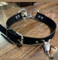 Goat / Sheep Neck Strong Collar ( Color Choice ). 