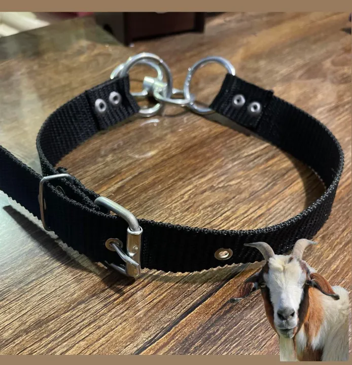 Goat%20/%20Sheep%20Neck%20Strong%20Collar%20(%20Color%20Choice%20)%20-%20Image%202
