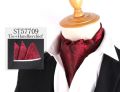 Mens Neck fashion ties CRAVAT bow tie bow ties fashion design male clothing bows and ties men wedding dress ties and bowties Ascot & Pocket Square Tie Jacquard Woven Mens Neck Tie Fashion Ascort. 