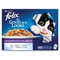 Pack Of 12 : Felix Favourite Selection With Beef, Salmon, Chicken And Tuna  : 90gm Each Cat Food. 