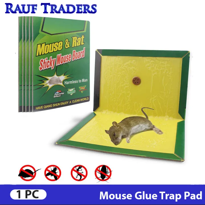 1%20Pcs%20Mouse%20Glue%20Traps%20with%20Enhanced%20Stickiness,%20Rat%20Mouse%20Traps,%20Snake%20Mouse%20Traps%20Sticky%20Pad%20Board%20for%20House%20Indoor%20Outdoor,%20Easy%20to%20Set%20(6.3"%20x%208.4")%20-%20Image%202