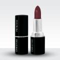 Christine Princess Lipstick - Shade 155. 