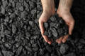 Natural BBQ Coal Fuel 3Kg. 