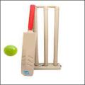 PLASTIC TOY CRICKET SET FOR KIDS: 1 BAT, 3 BALLS, AND 1 WICKET. 