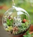 Techmanistan 1 Piece Transparent Ball Globe Shape Clear Hanging Glass Vase Flower Plants Terrarium Container DIY Wedding Home Decor Indoor Outdoor. 