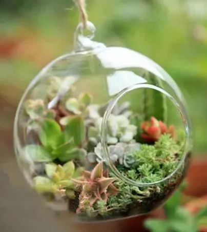 Techmanistan%201%20Piece%20Transparent%20Ball%20Globe%20Shape%20Clear%20Hanging%20Glass%20Vase%20Flower%20Plants%20Terrarium%20Container%20DIY%20Wedding%20Home%20Decor%20Indoor%20Outdoor%20-%20Image%205