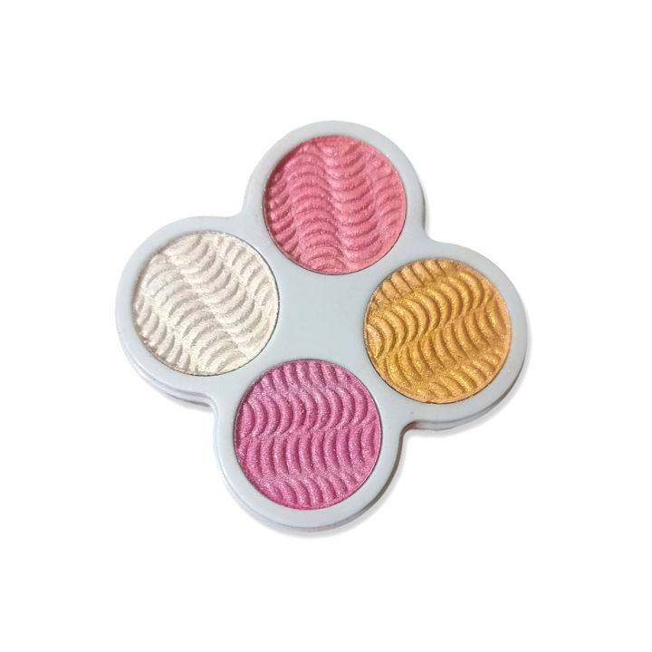 4 Color Blush on and Highlighter Mini Palette - Trendy Colour Matte Blusher Kit Makeup Blushon Make up Cosmetic Shimmer Pallete