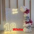 Shimmer Wall Backdrop Decorations Panel | Wedding, Birthday, Anniversary, Engagement & Bridal Shower Party Decor Panel (Champagne). 
