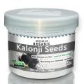 Kalonji Seeds Whole (Black Seed, Nigella Sativa) Spice | Sabut  Kalenji Seeds Gluten Friendly | NON-GMO | 100% Pure. 
