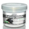 Kalonji Seeds Whole (Black Seed, Nigella Sativa) Spice | Sabut  Kalenji Seeds Gluten Friendly | NON-GMO | 100% Pure. 