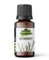 Pansar Essential's Rosemary Essential Oil - Aromatherapy Natural Fragrance Diffuser - All Types of Skin Use with Carrier Oil - Pure - 10 ml, 20ml, 30ml. 