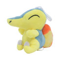 New Pokemon Anime Pikachu Eevee Minikyu Snorlax Mewtwo Plush Soft Stuffed Toys Dolls Pendant Keychain with Hook Chain Kids GIft. 