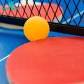 Green Home Ping-Pong Multi-color Optional Mixed Colors Table Tennis Balls. 