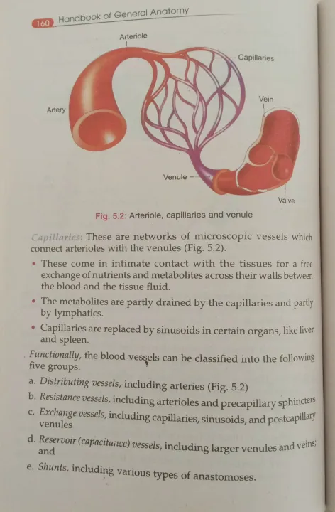 BD%20Chaurasia%20Handbook%20of%20General%20Anatomy%20%209th%20Edition%20by%20Krishna%20Garg%20-%20Image%203