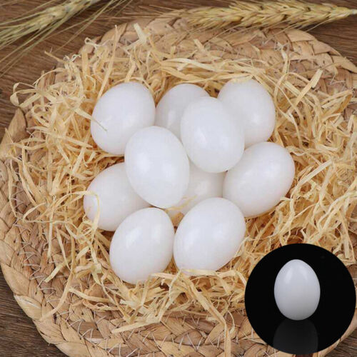 10%20Piece%20-%20Artificial%20Toy%20Eggs%20-%20Basic%20Learning%20Egg%20(Light%20Plastic%20Hollow%20Egg%20-%20Artificial%20Eggs)%20-%20Image%203