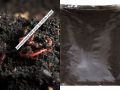Organic vermicompost 500 gram ready to use Soil conditioner. 