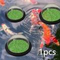 Dome Shape Aquarium Plant Corral Outdoor Pond Viewing Dome. 