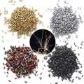 10 Flint Stones Fits Zipbo Lighter and other Most Major Lighter Flints Stoves Lighter Parts. 