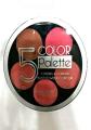 Blush On Kit Cool 5 In 1 Provides instant radiance  5 IN 1 Blush on kit  Highlighter Palette -  Lightweight  Long-wearing  Dermatologist tested. 